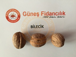 bilecik