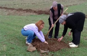 gurbetçi bayanlar fidan